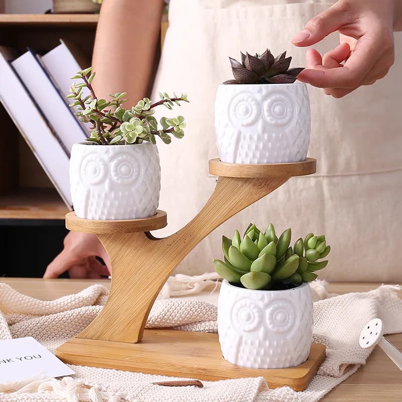 Zestaw doniczek ceramicznych sowa