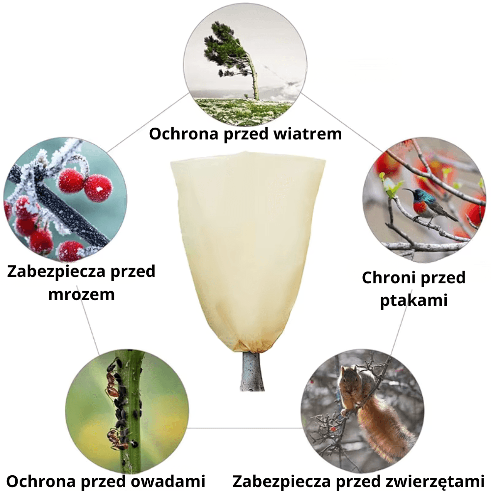 Ochrona roślin przed mrozem – zimowy pokrowiec ochronny na drzewa i krzewy